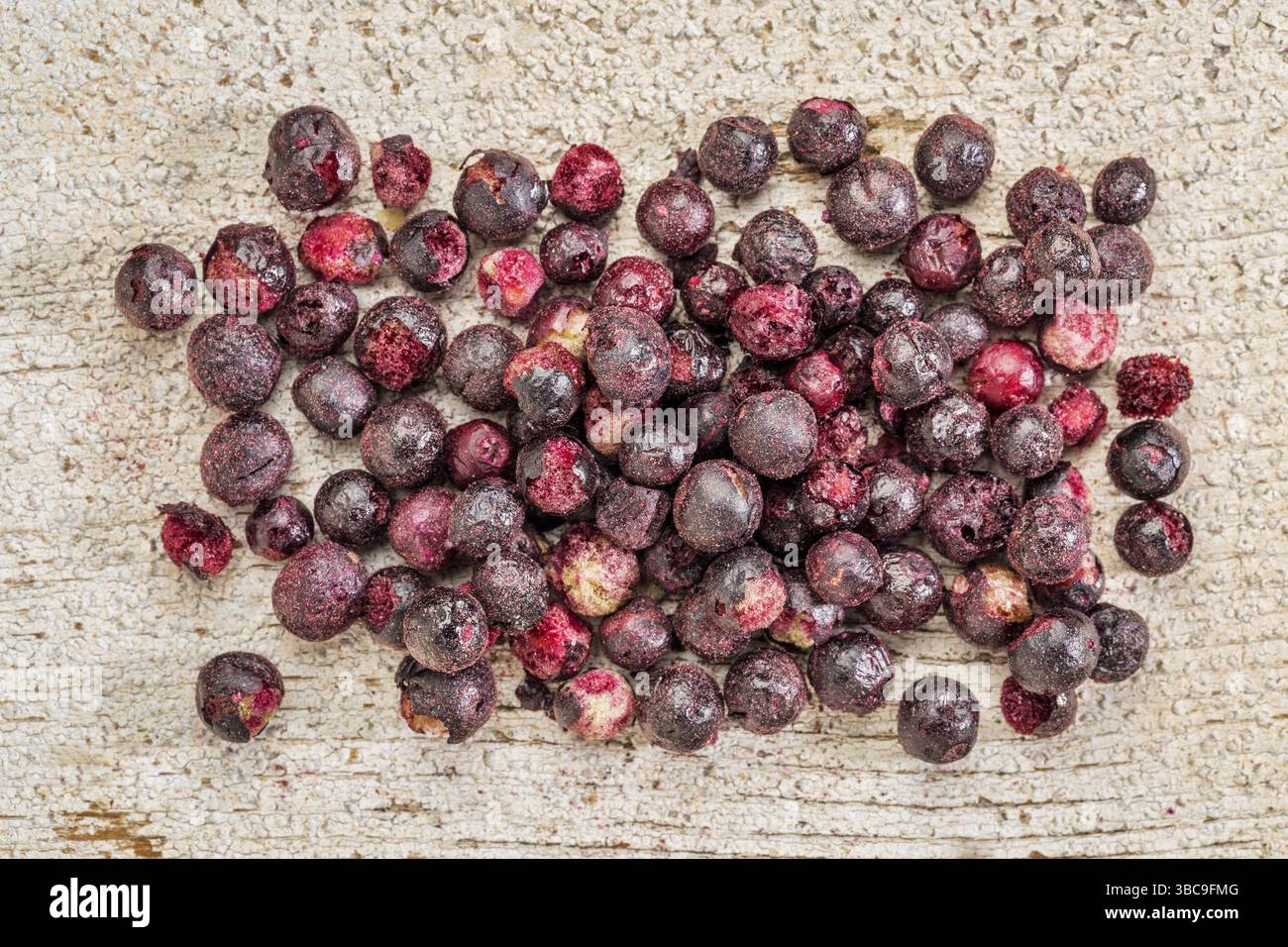 Frutti di sambuco liofilizzati contro il legno rustico di fienile. I sambuchi sono ricchi di antiossidanti e minerali che li rendono perfetti per combattere il comune Foto Stock