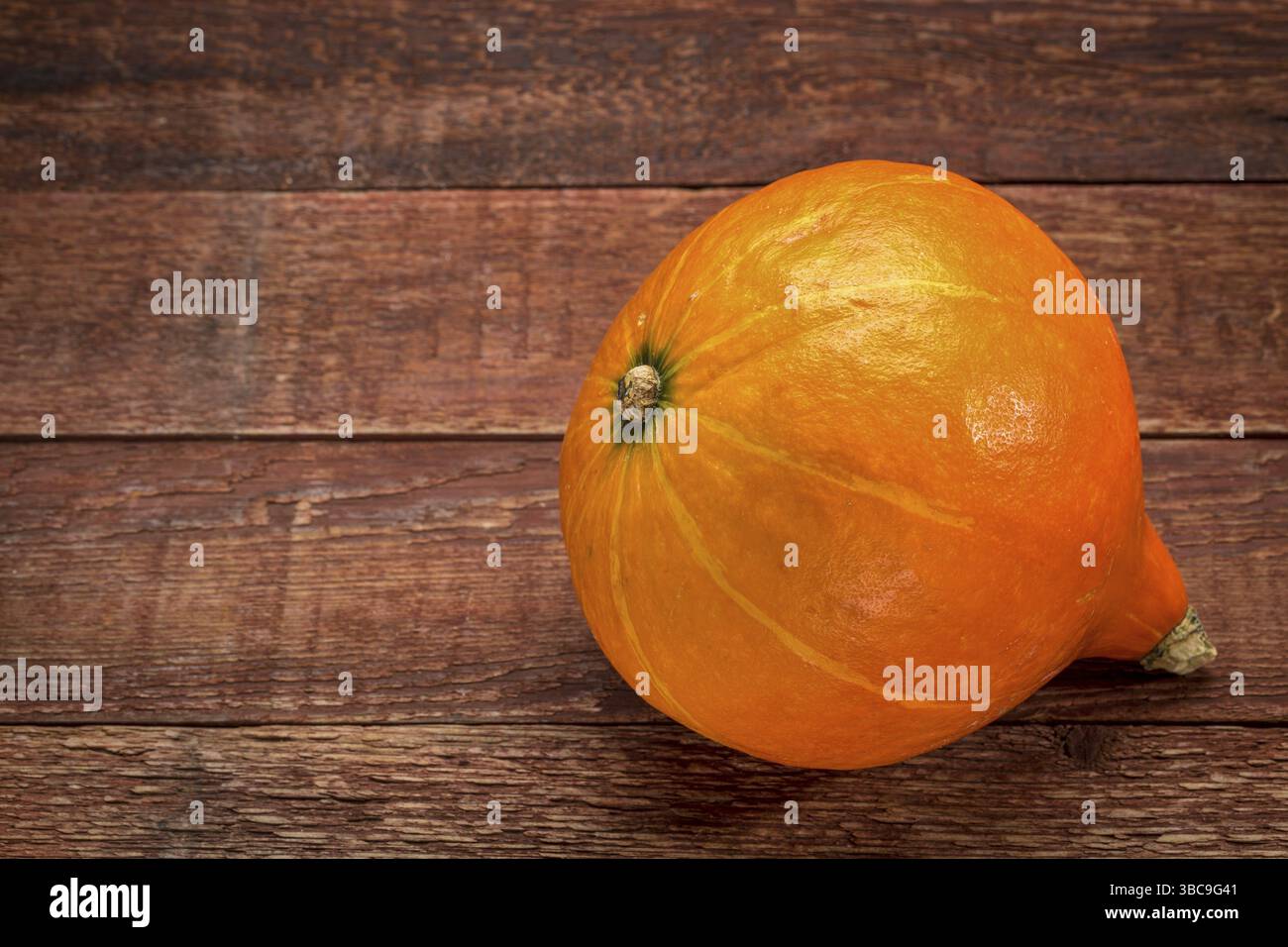 Squash invernale Red Kuri contro il legno rustico di fienile Foto Stock