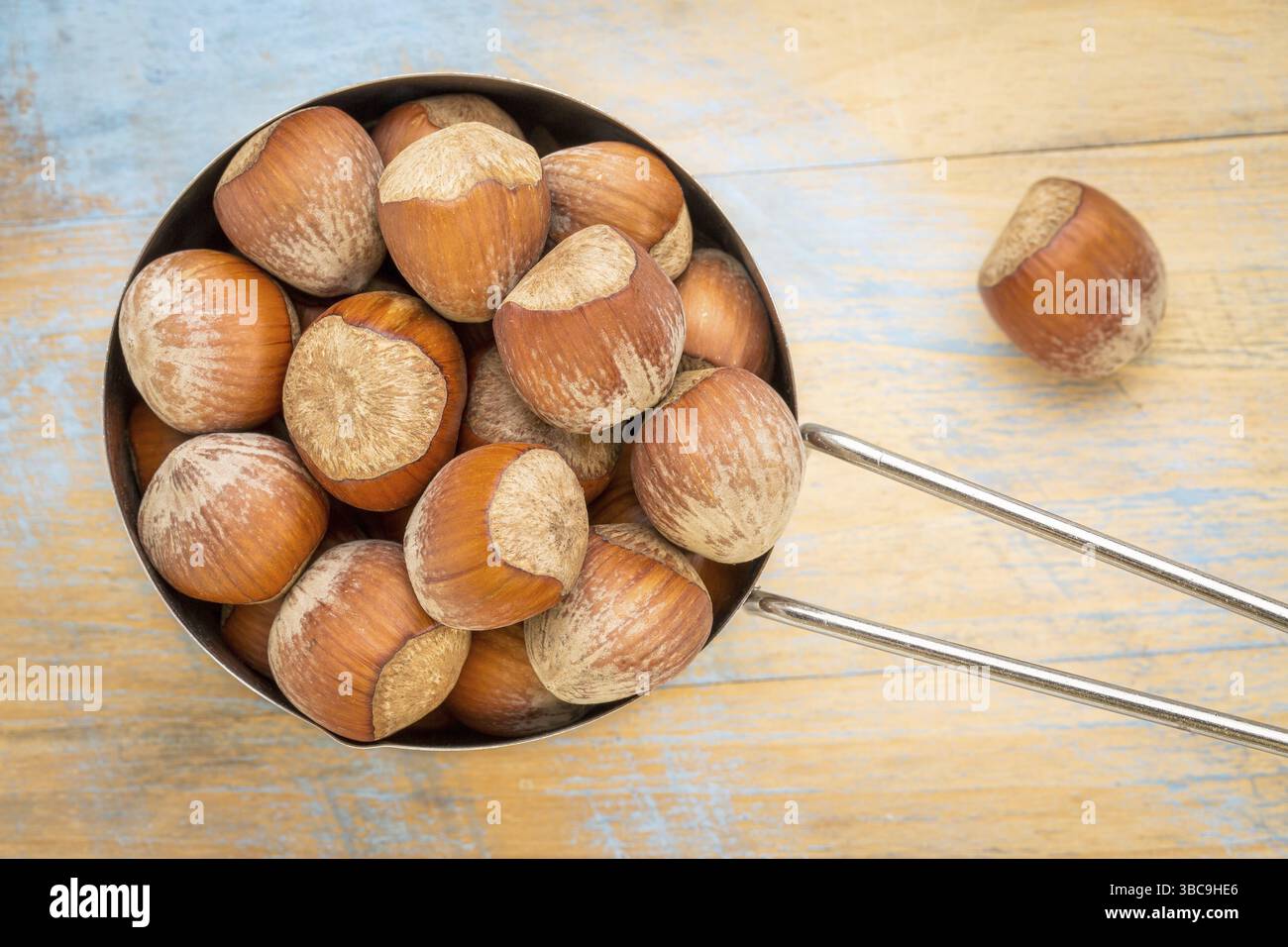 Misurino in metallo di nocciole (in gusci) contro un tavolo in legno grunge Foto Stock