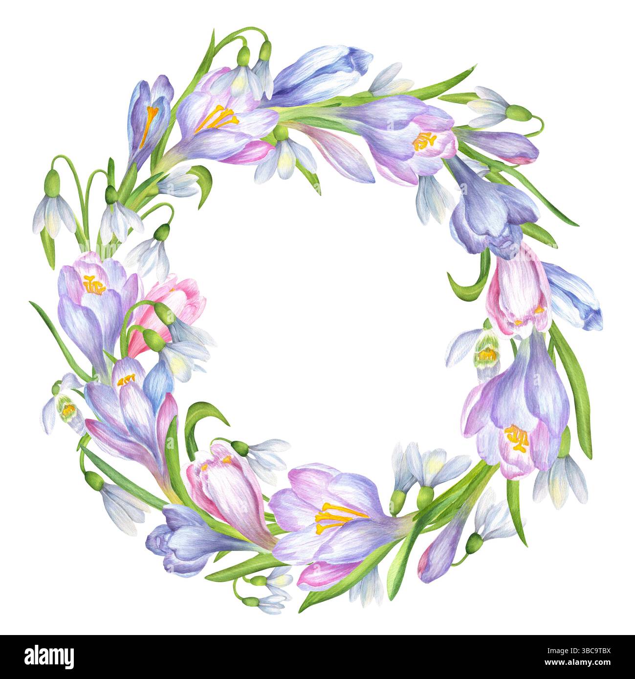 Splendida corona primaverile di morbidi fiori di croco viola, blu e rosa, fiori di gocce di neve bianche e foglie verdi. Corona floreale circolare. Garde primaverile Foto Stock