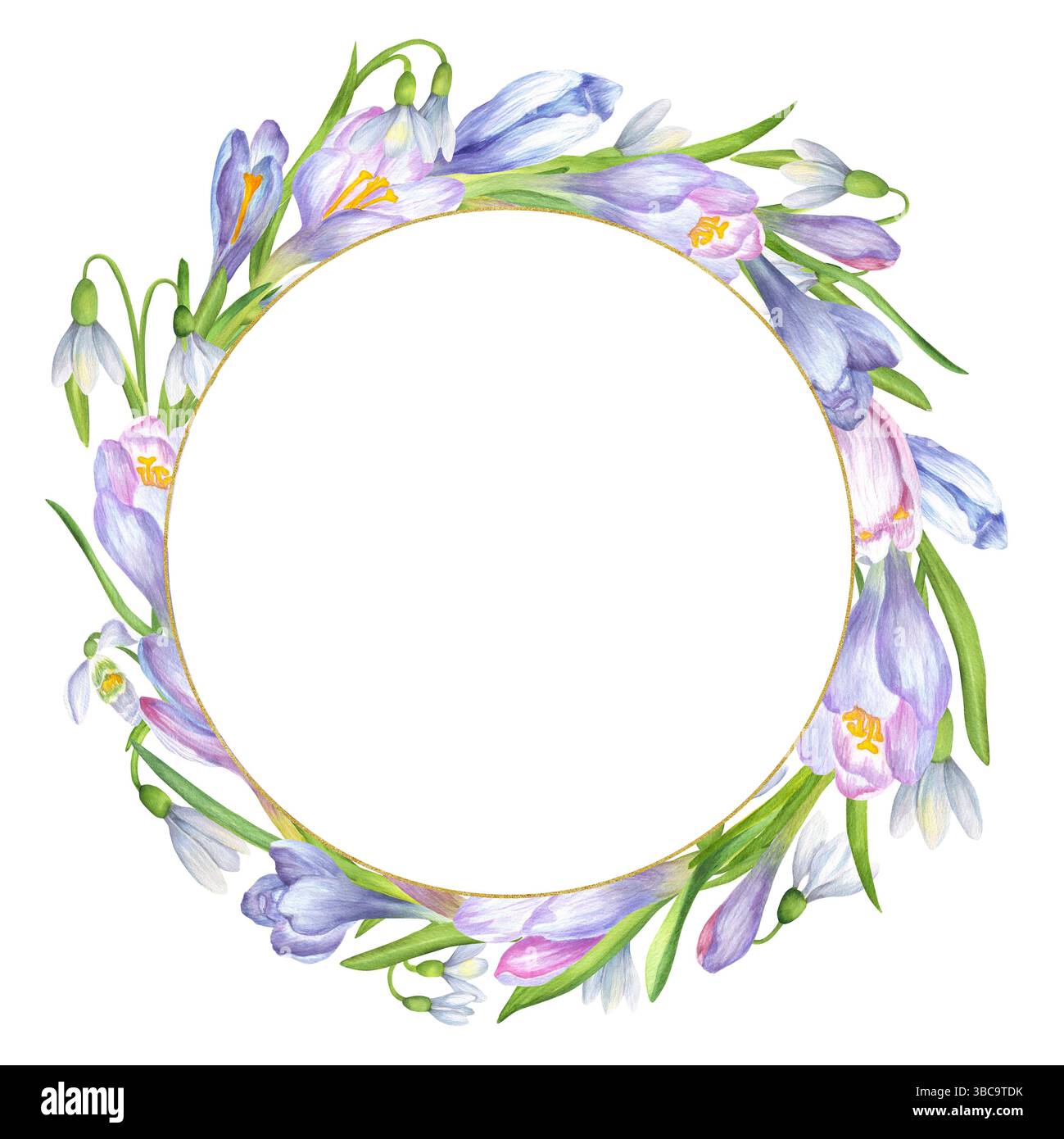 Corona primaverile di morbidi fiori di cocco viola, blu e rosa, fiori di gocce di neve bianche e foglie verdi e minuscola cornice dorata. Corona circolare. ga molla Foto Stock