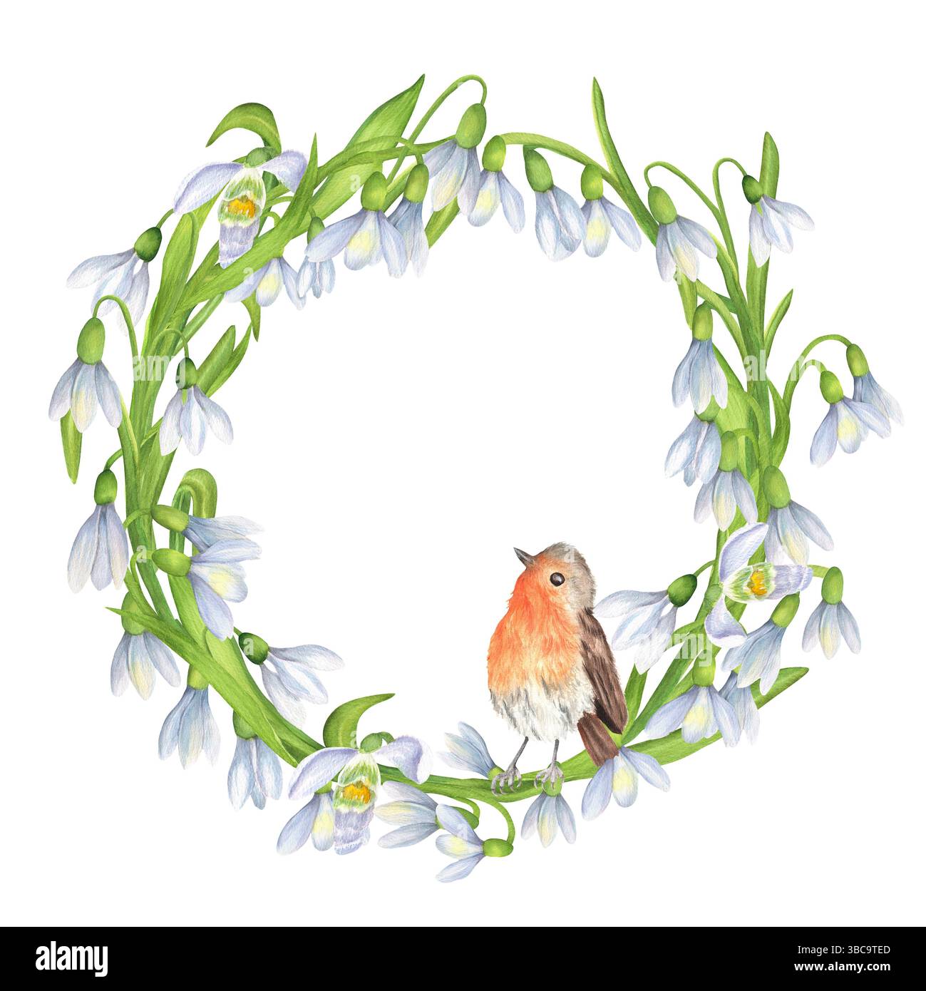 Corona floreale di gocce di neve bianche fiori, foglie verdi e uccello robin. Corona da giardino primaverile. Telaio circolare. Molla a molla. Acquerello i disegnato a mano Foto Stock