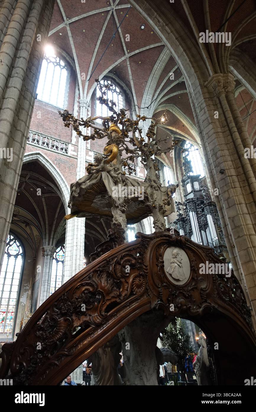 Un albero di pietra con un serpente dorato che si avvolge intorno al pulpito rococò riccamente decorato della Cattedrale di Gand Foto Stock