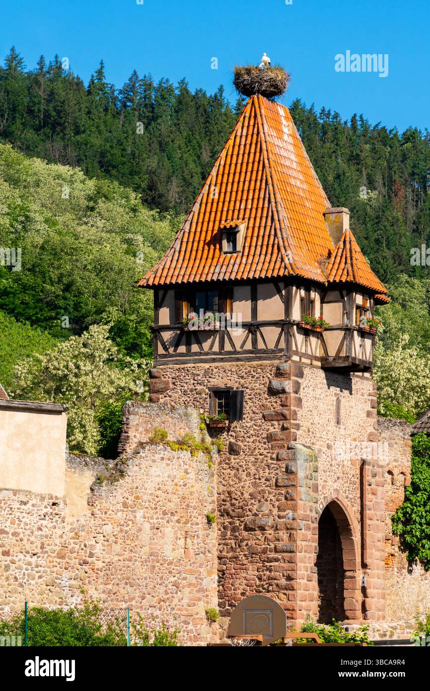 Vista della città vecchia di Châtenois con la famosa "torre delle streghe" medievale incorniciata in legno. Châtenois è un comune del dipartimento di Bas-Rhin, in Alsazia, nel nord Foto Stock