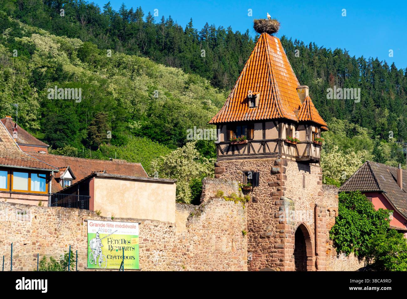 Vista della città vecchia di Châtenois con la famosa "torre delle streghe" medievale incorniciata in legno. Châtenois è un comune del dipartimento di Bas-Rhin, in Alsazia, nel nord Foto Stock