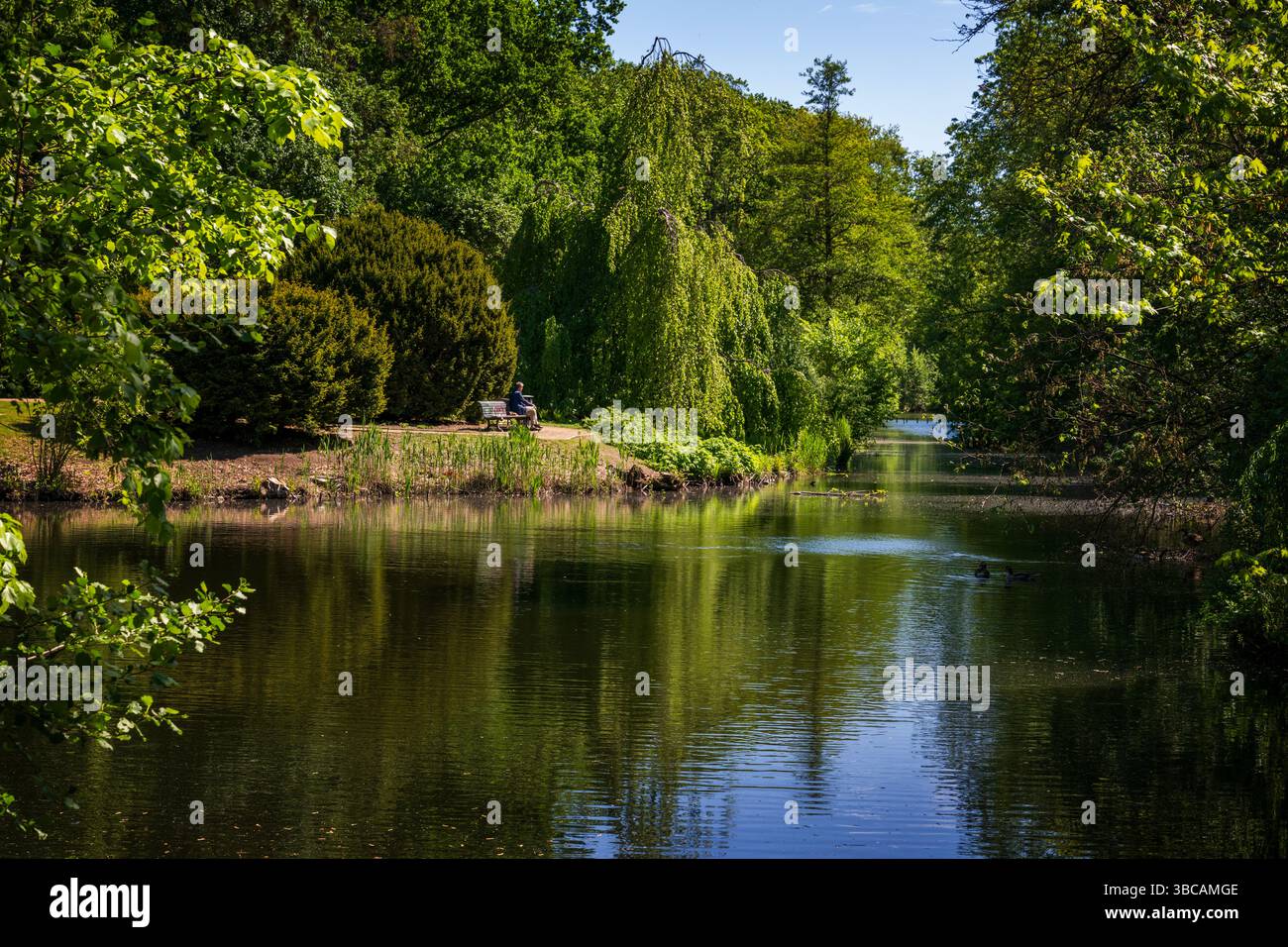 Tiergarten Park a Berlino. Sentieri alberati della Germania, prati e laghi per prendere il sole. Foto Stock