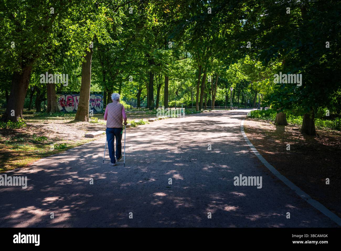 Anziani berlinesi che camminano con i bastoncini attraverso il parco Tiergarten a Berlino. Germania Foto Stock