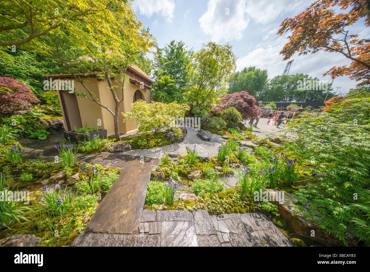 Royal Hospital Chelsea, Londra, Regno Unito. 19 maggio 2025. RHS Chelsea Flower Show Garden preparazioni finali prima della giornata di apertura pubblica il 20 maggio. Immagine: Show Garden - Cha No Niwa - Japanese Tea Garden progettato da Kazuyuki Ishihara, ispirato da Fushikaden (lo Spirito fiorente) di Zeami, drammaturgo del periodo Muromachi, e gli insegnamenti di Ikenobo, la scuola principale di Ikebana. Aggiornamento: Nominato RHS Chelsea Garden of the Year Award il 20 maggio. Crediti: Malcolm Park/Alamy Live News Foto Stock
