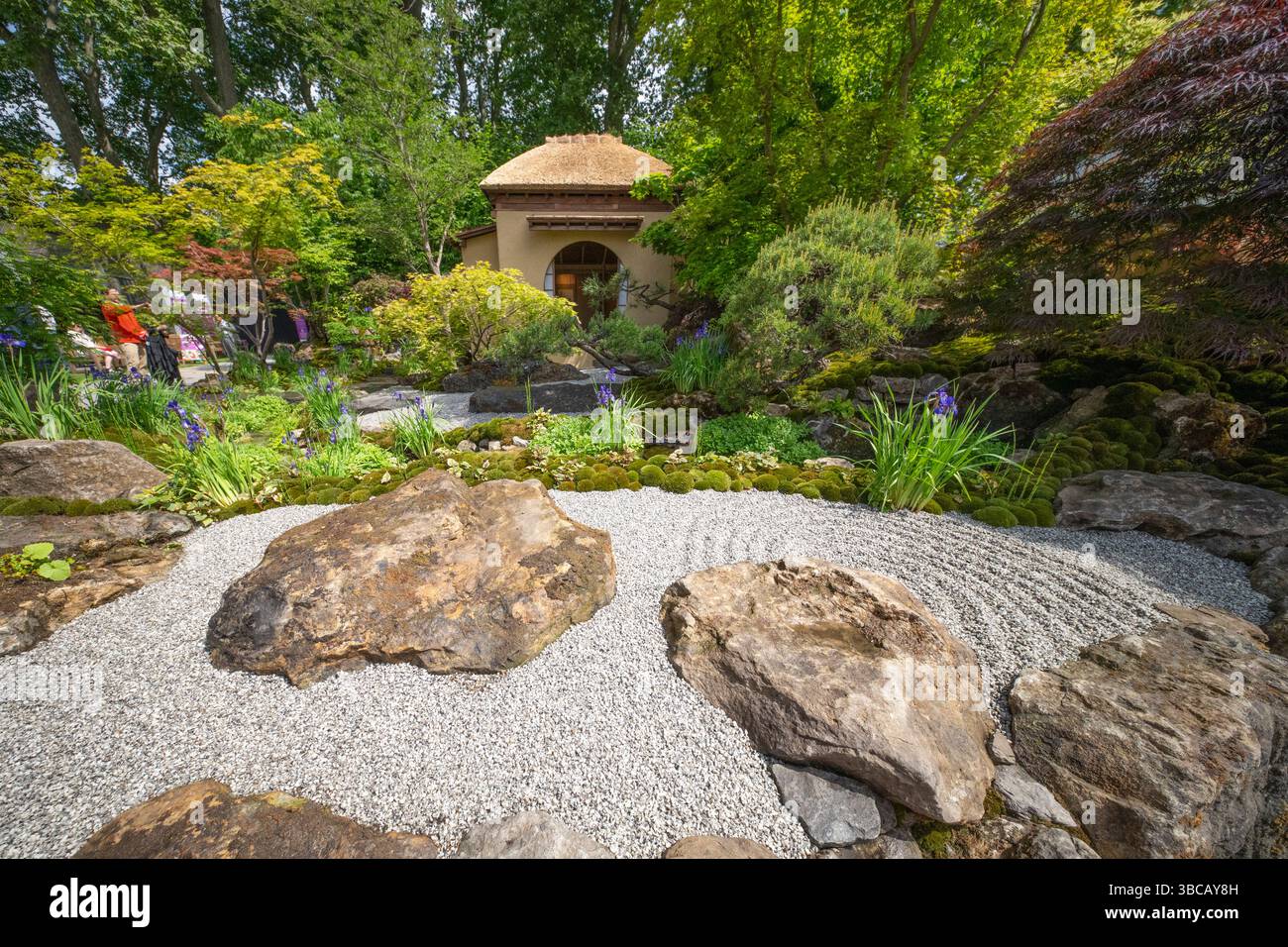Royal Hospital Chelsea, Londra, Regno Unito. 19 maggio 2025. RHS Chelsea Flower Show Garden preparazioni finali prima della giornata di apertura pubblica il 20 maggio. Immagine: Show Garden - Cha No Niwa - Japanese Tea Garden progettato da Kazuyuki Ishihara, ispirato da Fushikaden (lo Spirito fiorente) di Zeami, drammaturgo del periodo Muromachi, e gli insegnamenti di Ikenobo, la scuola principale di Ikebana. Aggiornamento: Nominato RHS Chelsea Garden of the Year Award il 20 maggio. Crediti: Malcolm Park/Alamy Live News Foto Stock