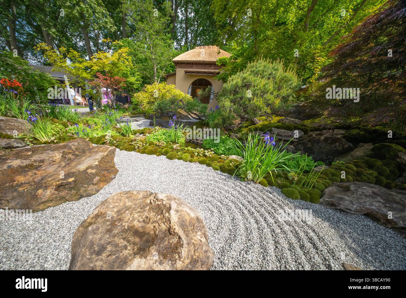 Royal Hospital Chelsea, Londra, Regno Unito. 19 maggio 2025. RHS Chelsea Flower Show Garden preparazioni finali prima della giornata di apertura pubblica il 20 maggio. Immagine: Show Garden - Cha No Niwa - Japanese Tea Garden progettato da Kazuyuki Ishihara, ispirato da Fushikaden (lo Spirito fiorente) di Zeami, drammaturgo del periodo Muromachi, e gli insegnamenti di Ikenobo, la scuola principale di Ikebana. Aggiornamento: Nominato RHS Chelsea Garden of the Year Award il 20 maggio. Crediti: Malcolm Park/Alamy Live News Foto Stock