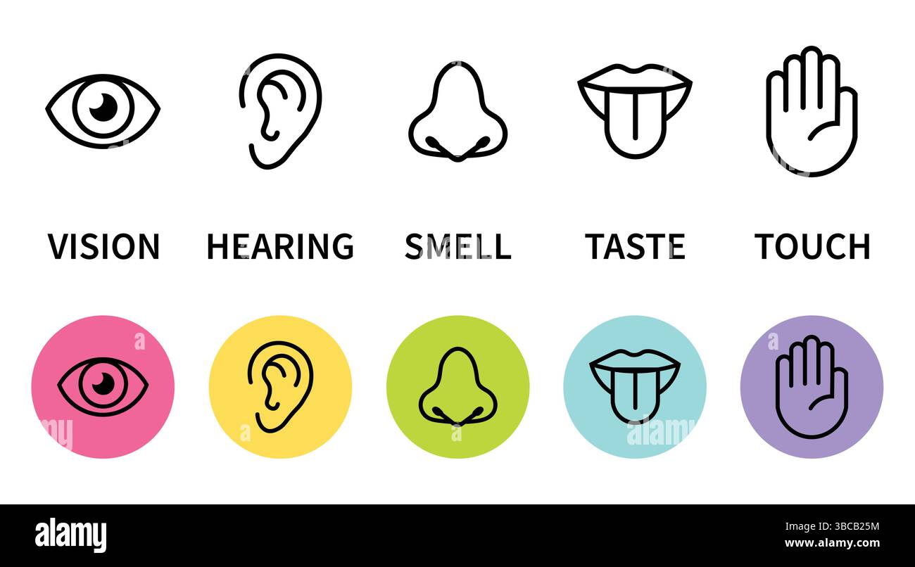 Set di icone dei sensi umani. Occhio visivo, naso olfatto, udito orecchio, toccare la mano, assaggiare la bocca con la lingua. Icone di linea semplici e cerchio nero. Illustrazione Vettoriale