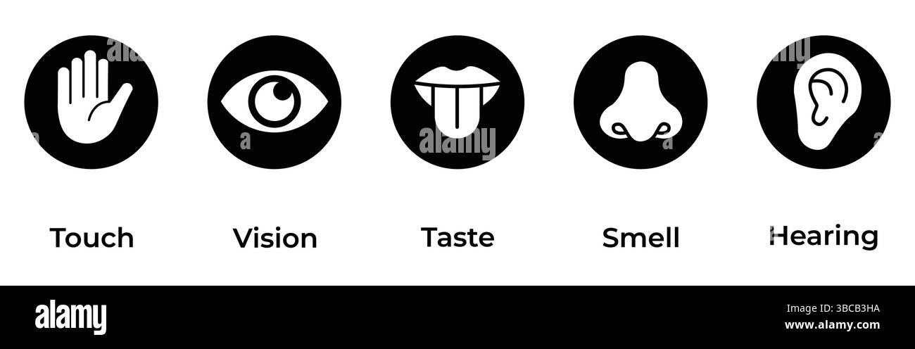Set di icone dei sensi umani. Occhio visivo, naso olfatto, udito orecchio, toccare la mano, assaggiare la bocca con la lingua. Icone di linea semplici e cerchio nero. Illustrazione Vettoriale