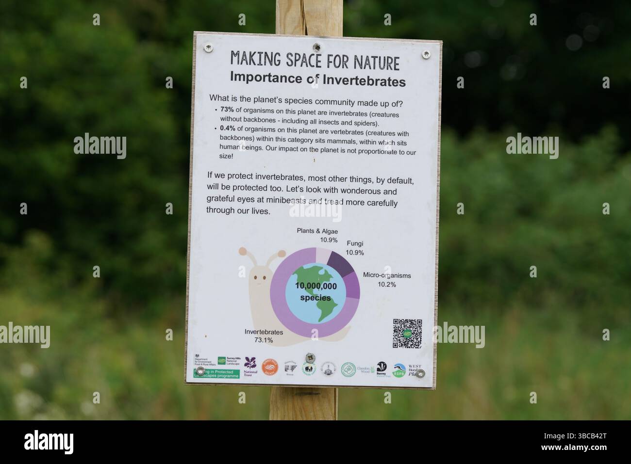 Esposizione informativa dei segnali naturali che evidenzia l'importanza degli invertebrati nella conservazione della biodiversità. Dorking, Regno Unito Foto Stock