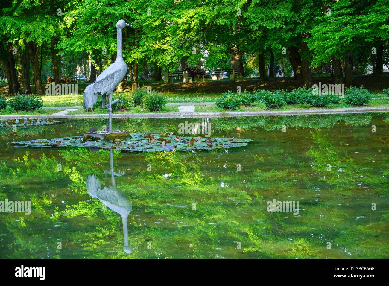 Una gru è stata spianata con le gambe piegate nello stagno del Termal Hotel per tre decenni e mezzo, ed è la gru più grande di Daruvar. Foto Stock