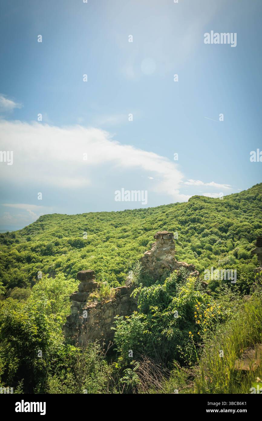 Antiche rovine di pietra ricoperte di vegetazione in una remota valle verde sotto un cielo limpido. Angolo selvaggio e dimenticato delle montagne georgiane Foto Stock