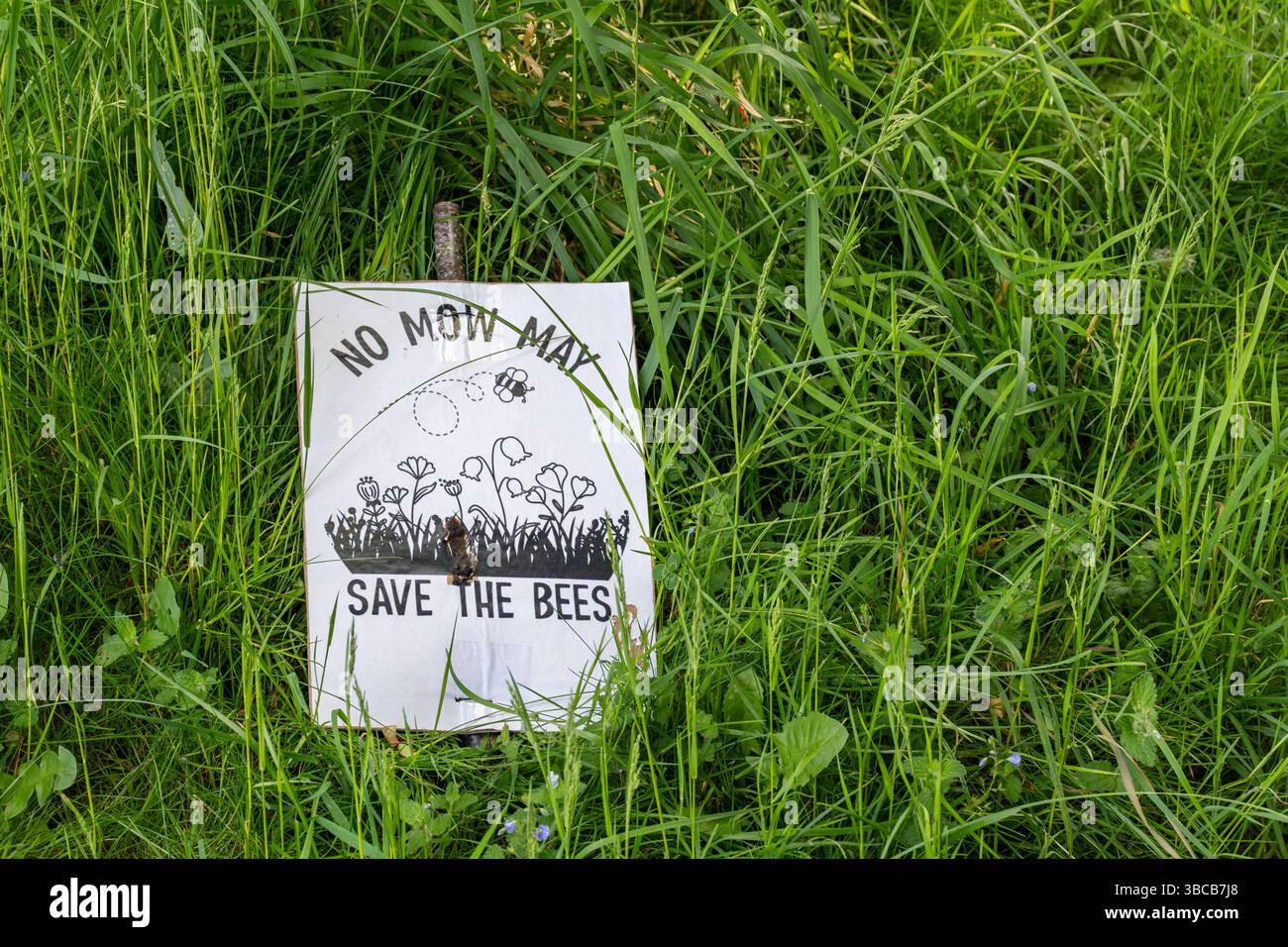 Nessuna erba può firmare o notare su una banca del cimitero con erba lunga e qualche fiore selvatico, contribuendo a salvare api e impollinatori, Inghilterra, Regno Unito Foto Stock