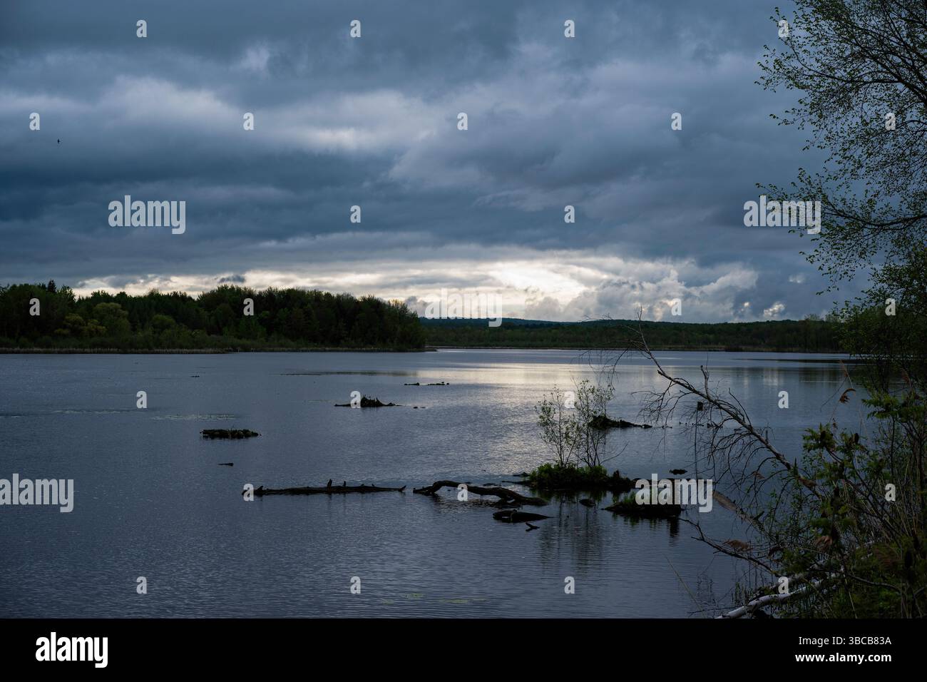 Lago nella luce del mattino Foto Stock