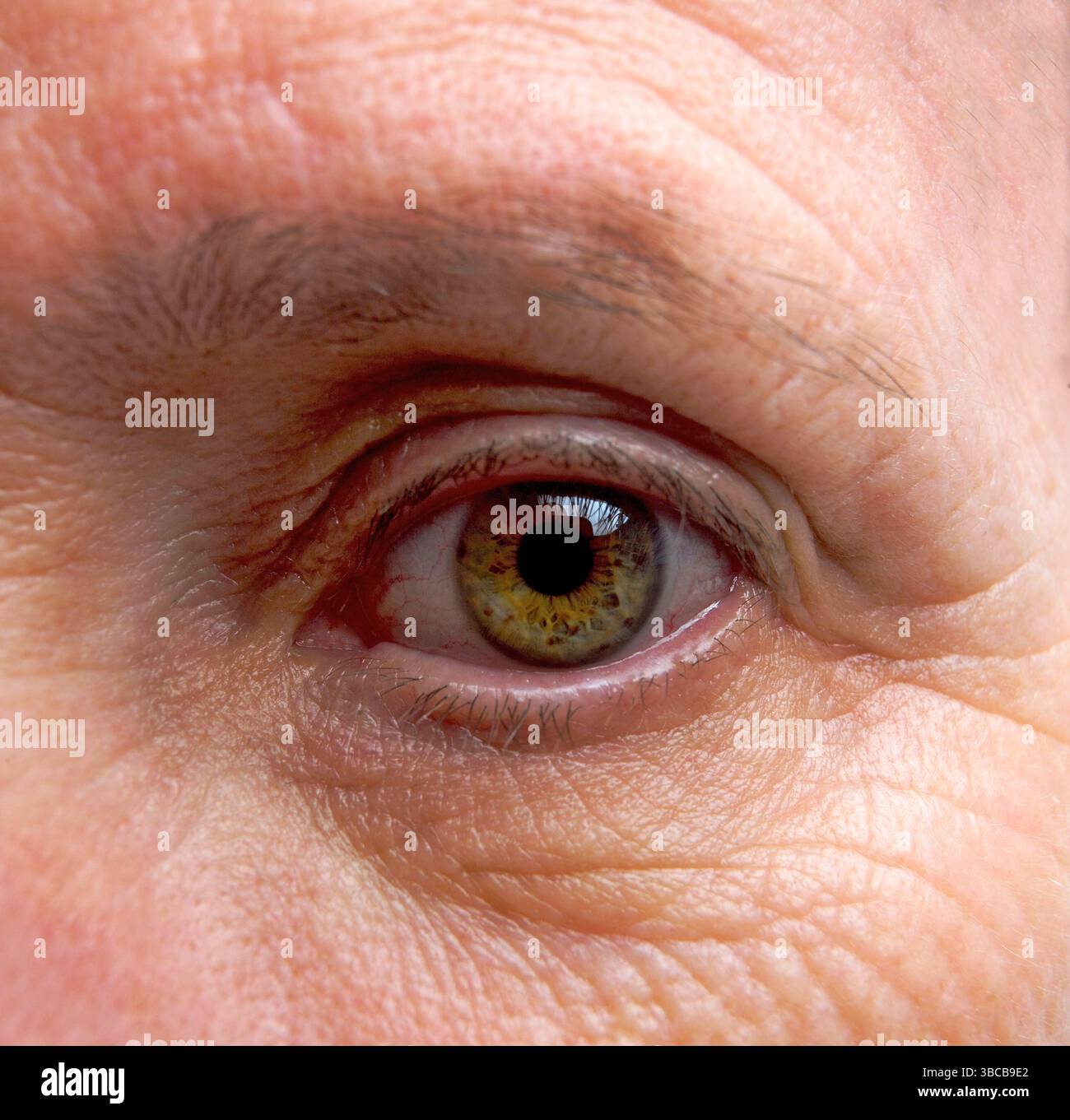 Cattura i dettagli sorprendenti dell'occhio di una donna adulta Foto Stock
