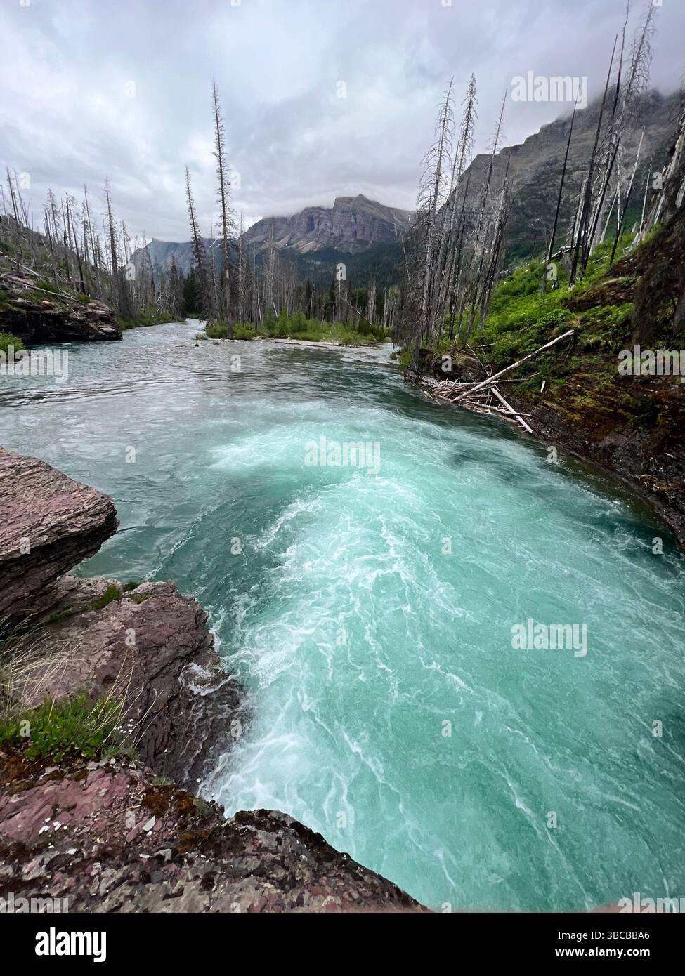 Un brillante fiume turchese scorre attraverso il Glacier National Park, Montana, scavando in una foresta in recupero segnata da vecchie cicatrici bruciate. Foto Stock