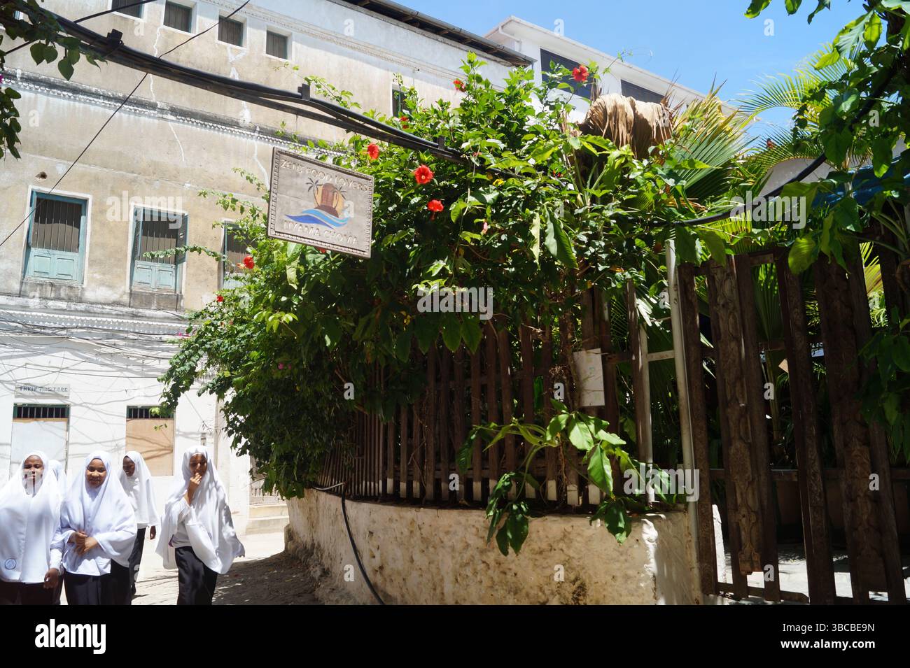Un gruppo di studentesse in tradizionali hijab bianchi cammina attraverso le strette strade fiancheggiate da piante di Stone Town, Zanzibar. Foto Stock