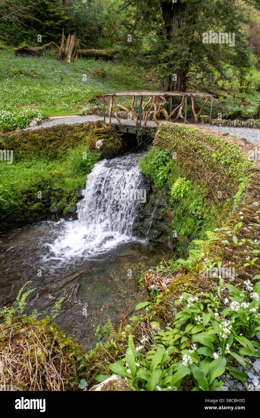 Piccola cascata su un ruscello nei giardini dell'Endsleigh Hotel, Dartmoor, Devon Foto Stock