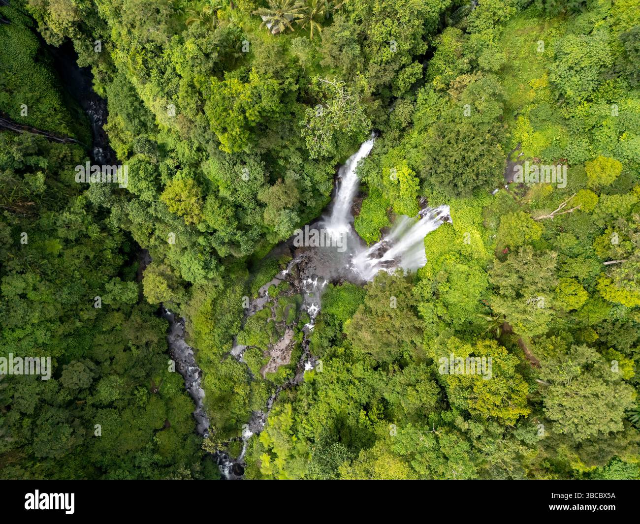 Vista aerea di Sekumpul e delle cascate nascoste a Buleleng Bali Foto Stock