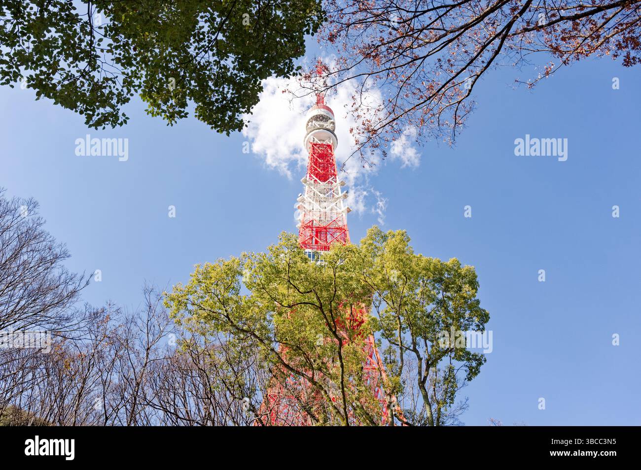 La Tokyo Tower sbircia attraverso una cornice di alberi Foto Stock