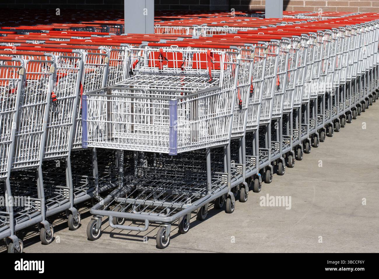 Carrelli della spesa Costco, progettati per grandi quantità di articoli sfusi, in un negozio Costco a New Orleans, Louisiana. Foto Stock