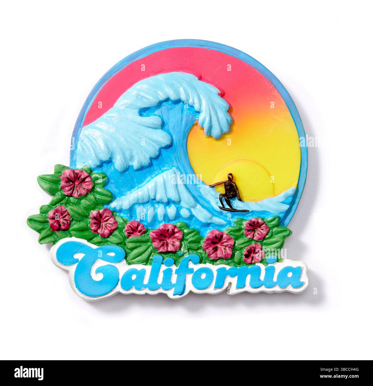 Magnete della California fotografato su sfondo bianco Foto Stock