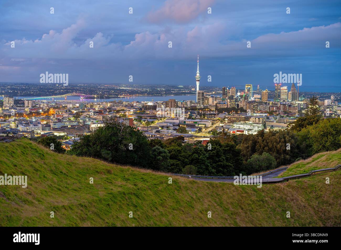 Vista di Auckland della nuova Zelanda di notte Foto Stock