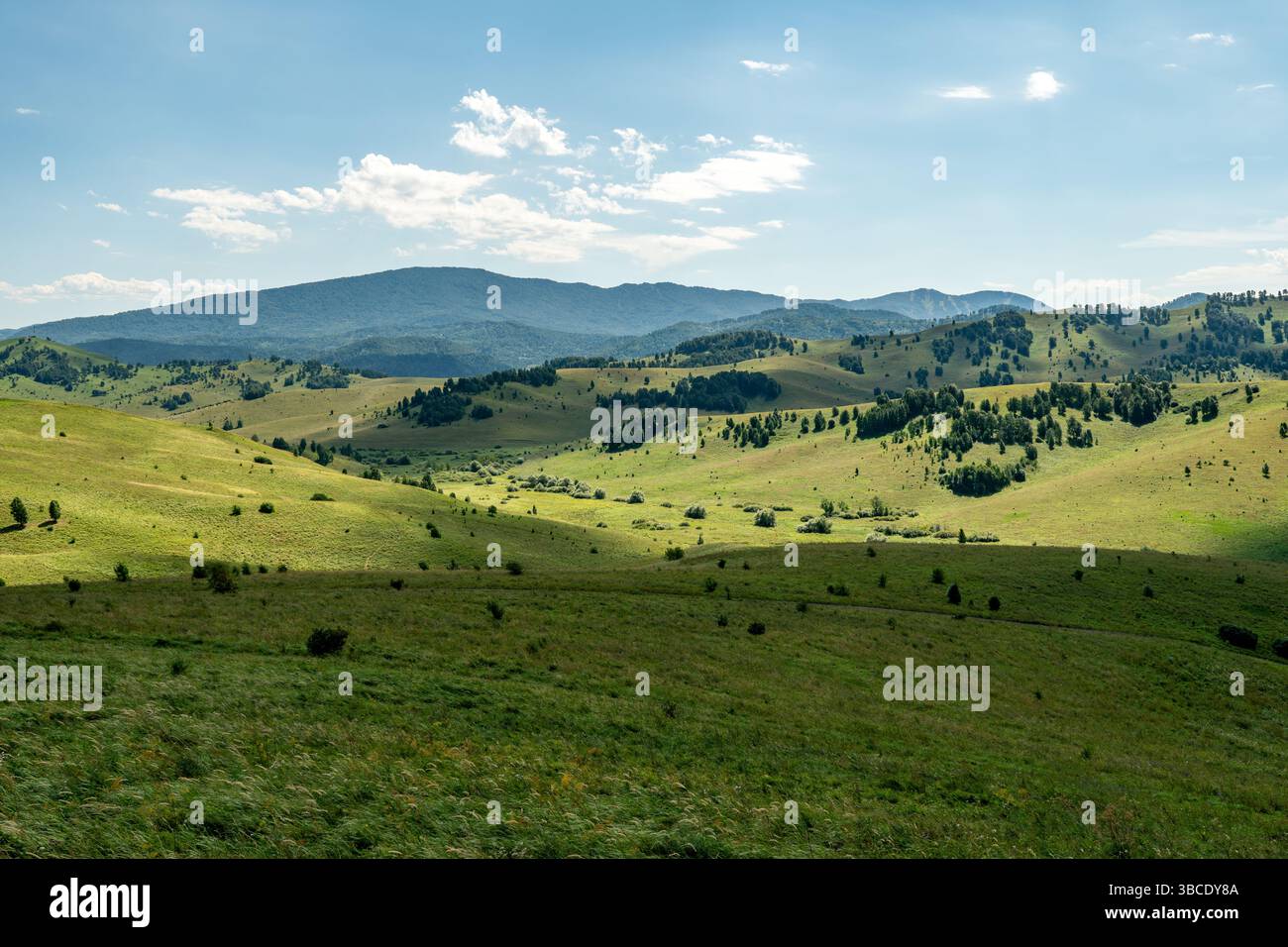 steppa, prateria, veld, veldt - pianura erbosa nelle zone temperate e subtropicali dell'emisfero settentrionale e meridionale. Plateau. Colline. Foto Stock