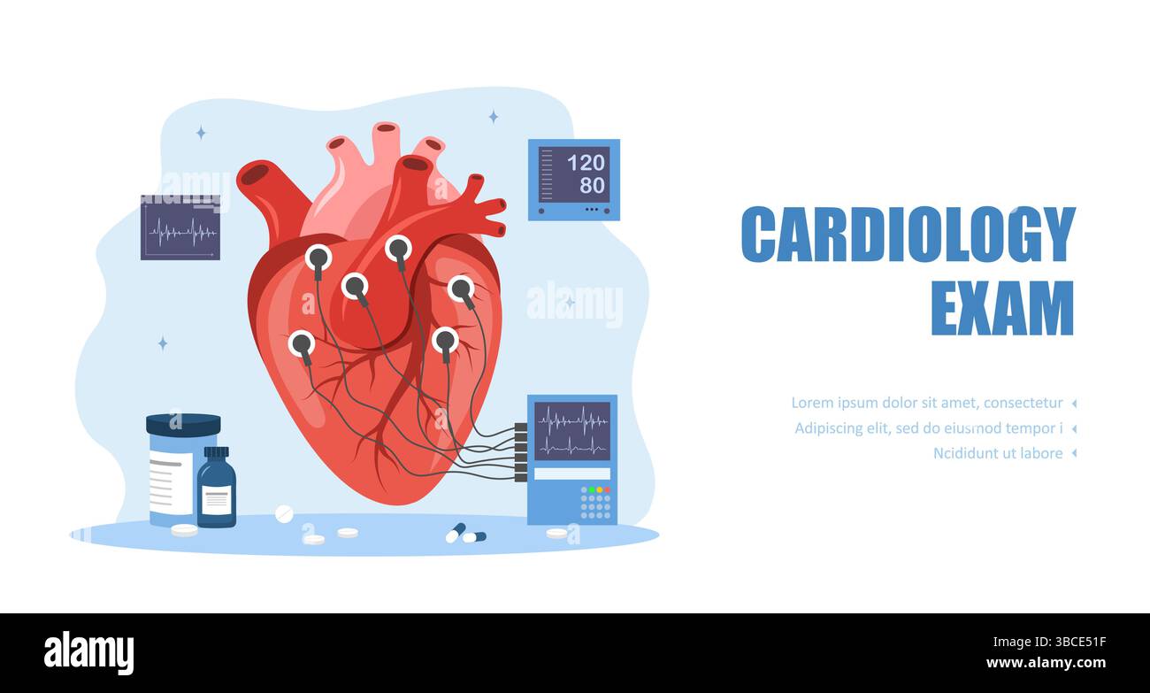 Concetto di elettrocardiografia. Cure cardiache e diagnostica medica. Cardiologa donna ricerca malattie. Illustrazione del vettore piatto Illustrazione Vettoriale