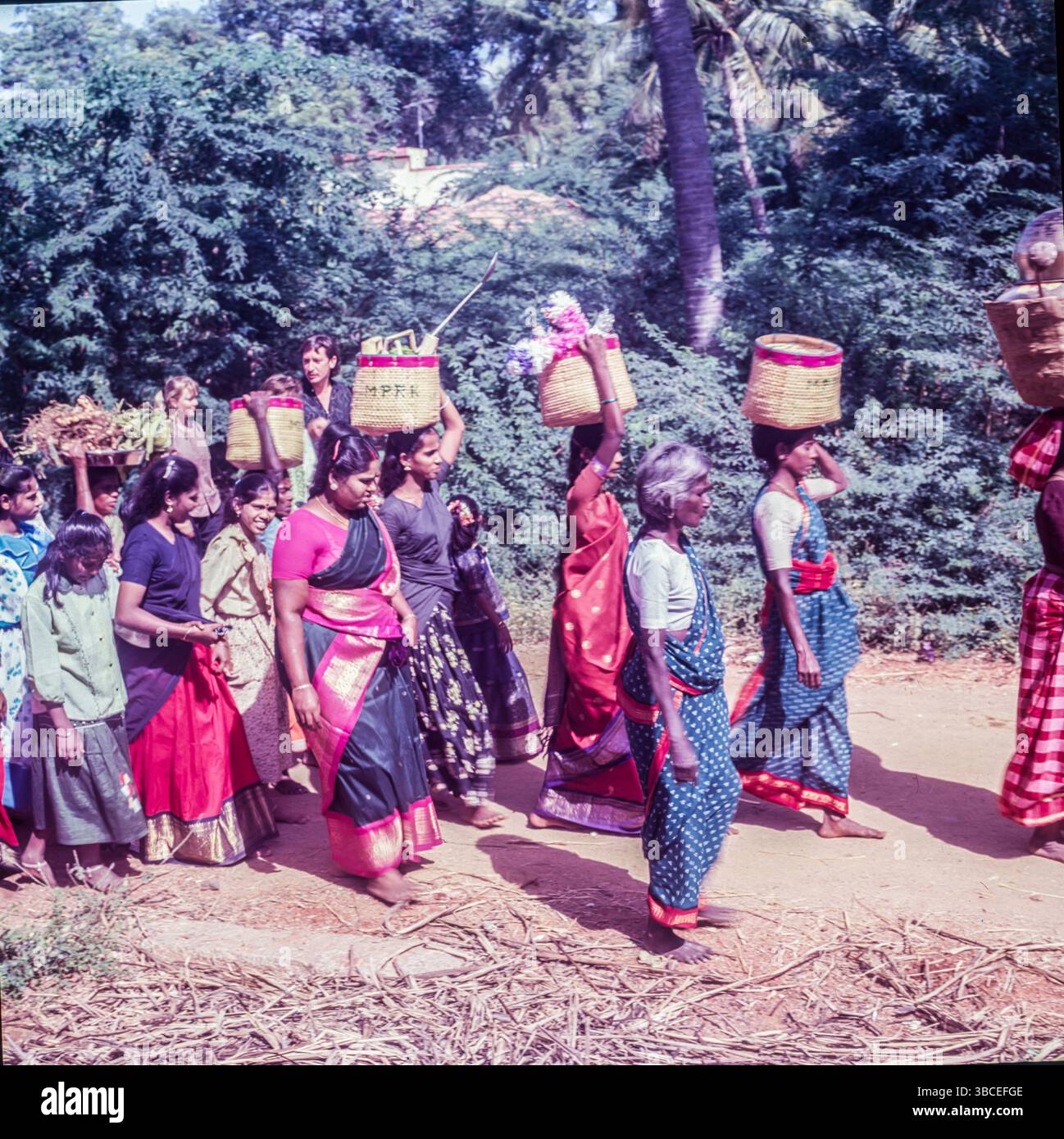 Pongal - viene il 14th gennaio, ed è celebrato per il 4days, è fondamentalmente una festa del raccolto, come questo festival è celebrato per ringraziare Sun Dio, Signore Indra per aver aiutato gli agricoltori a ottenere raccolti migliori resa. Pongal è un festival agricolo che porta entusiasmo per la gente del Tamil Nadu, parte di Andhra Pradesh, e Telangana, la parola Pongal in Tamil significa traboccante. Foto Stock