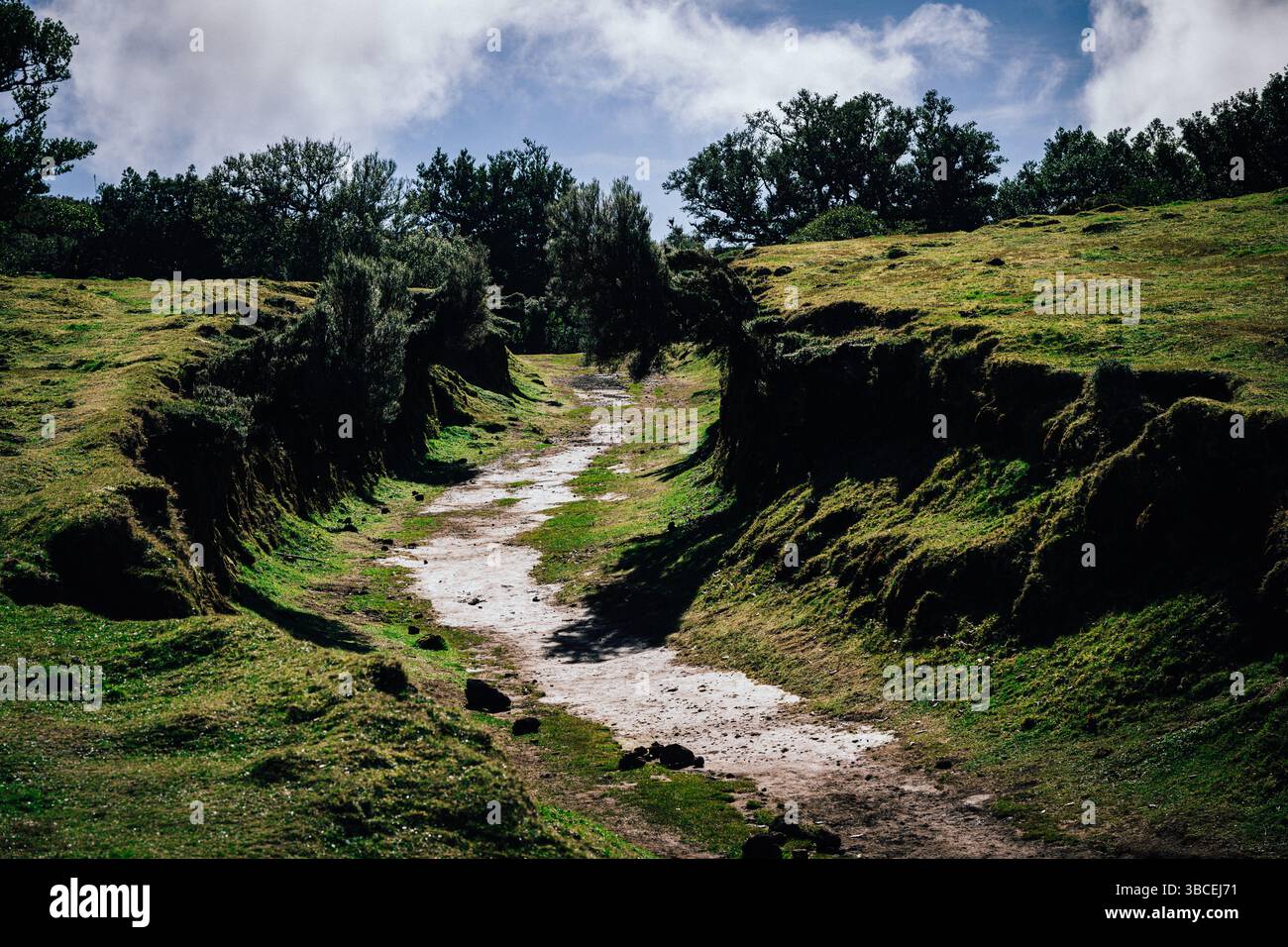 Il sentiero sterrato panoramico si snoda attraverso lussureggianti colline verdi sotto un cielo nuvoloso Foto Stock