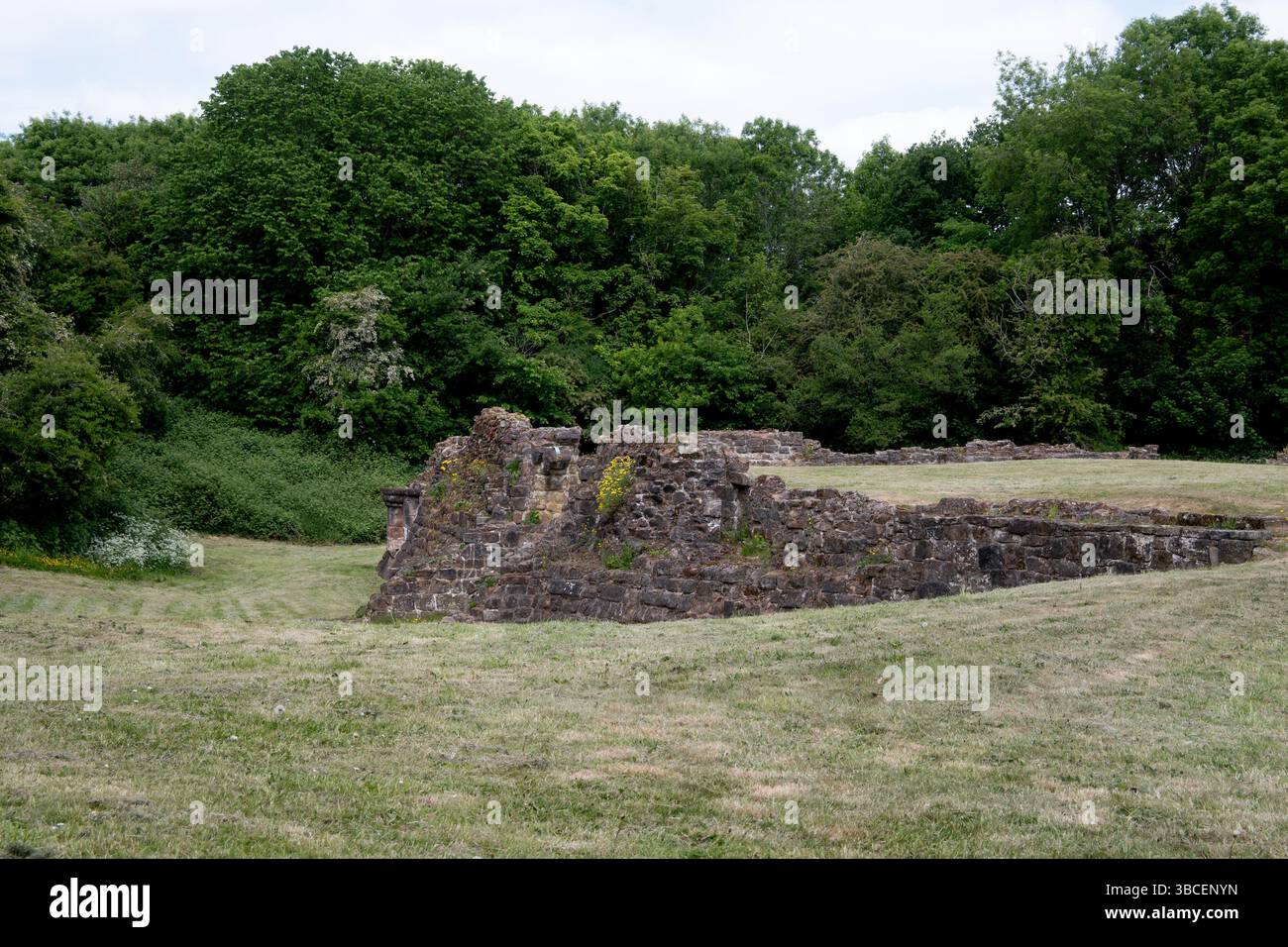 Weoley Castle Roads, Birmingham, West Midlands, Inghilterra, Regno Unito Foto Stock