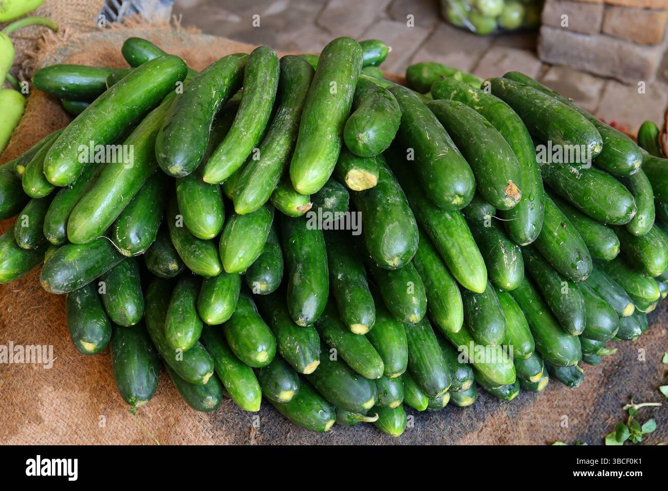 La foto dei cetrioli multipli Foto Stock