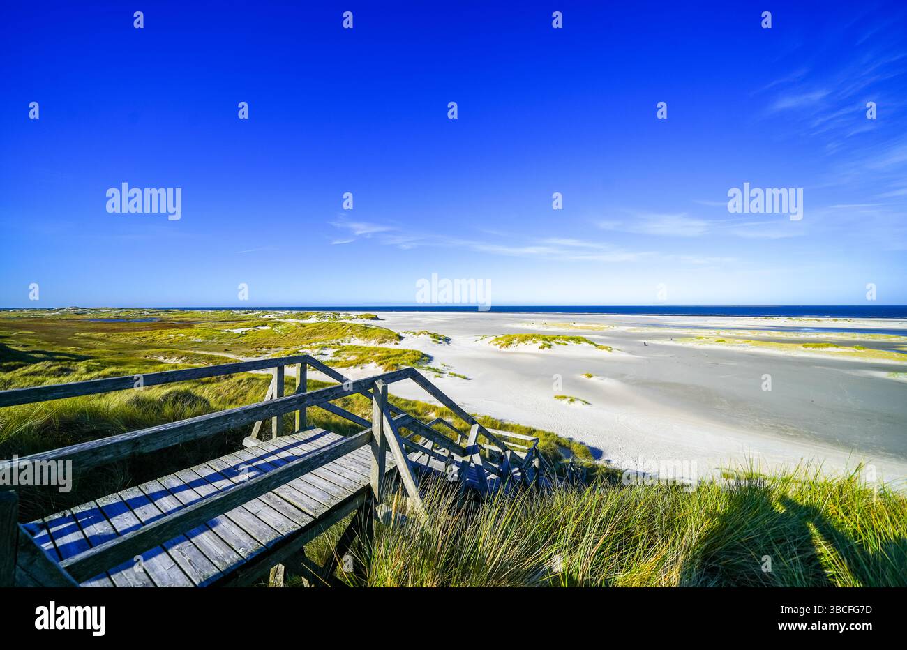 Vista delle dune sull'isola frisone settentrionale di Amrum. Paesaggio a nord. Natura sull'isola del Mare del Nord. Foto Stock