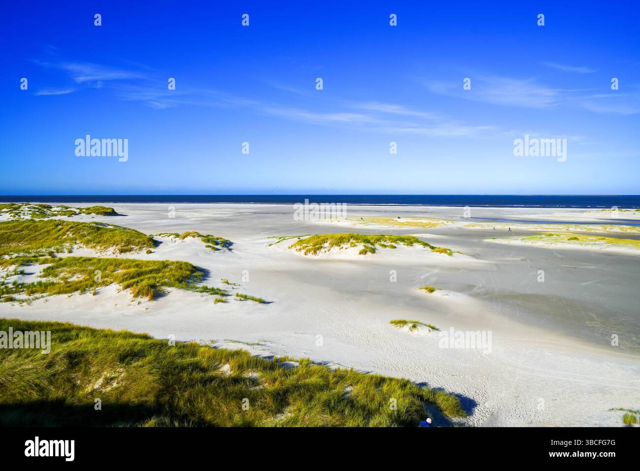 Vista delle dune sull'isola frisone settentrionale di Amrum. Paesaggio a nord. Natura sull'isola del Mare del Nord. Foto Stock