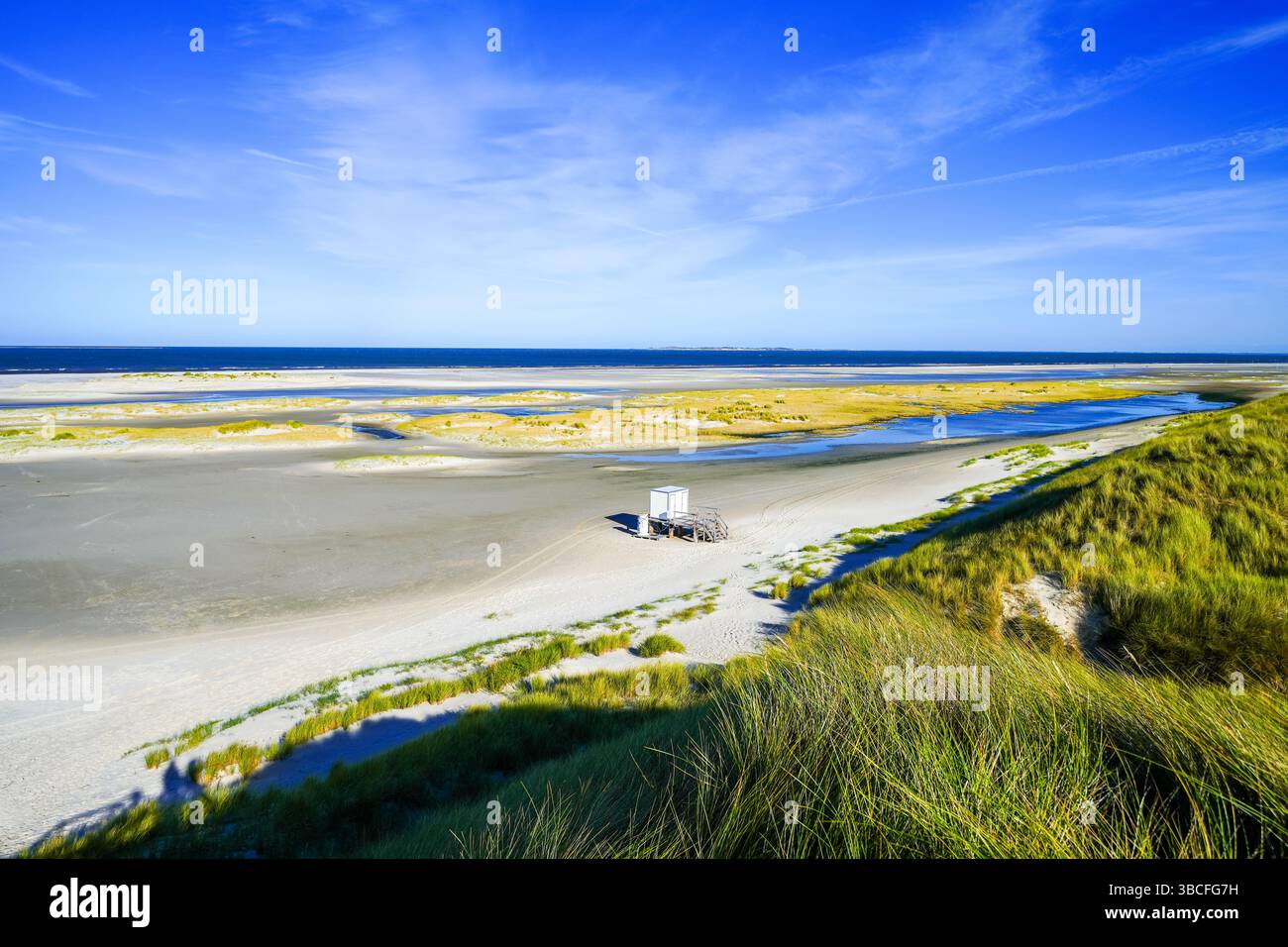 Vista delle dune sull'isola frisone settentrionale di Amrum. Paesaggio a nord. Natura sull'isola del Mare del Nord. Foto Stock