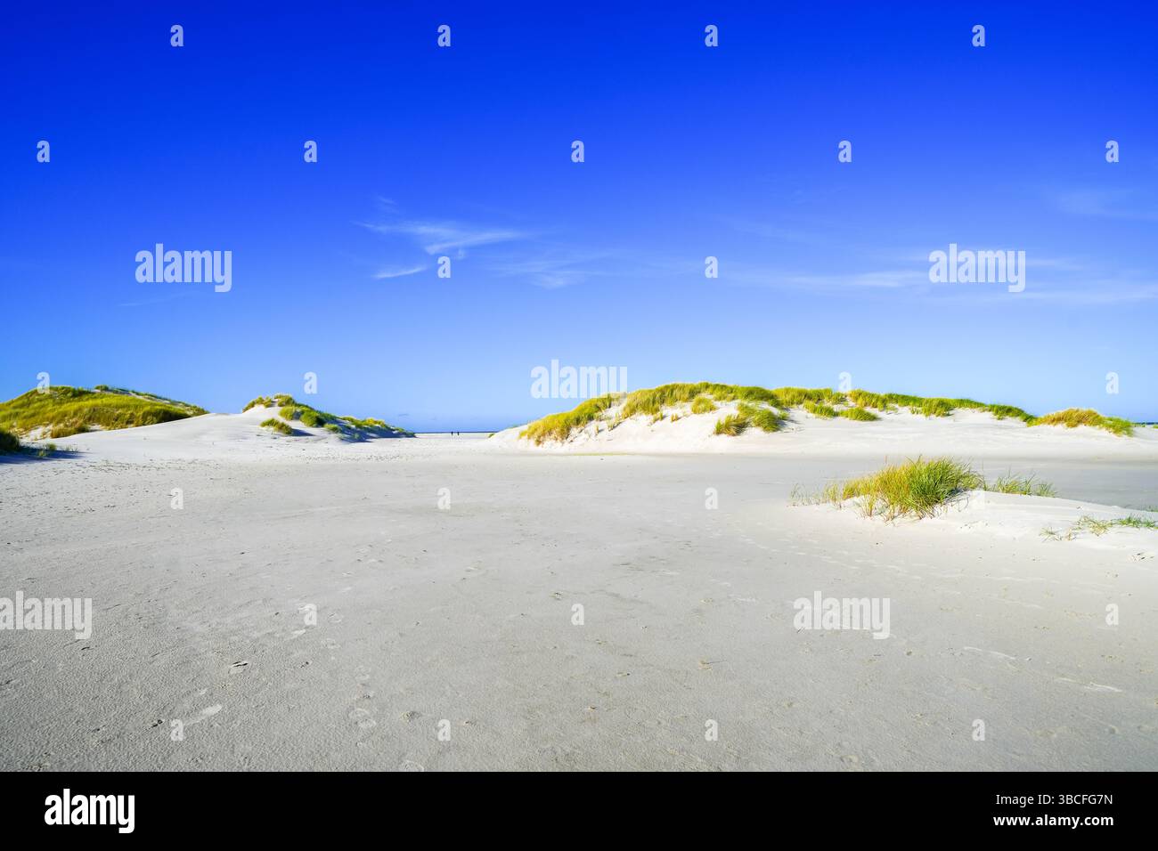 Vista delle dune sull'isola frisone settentrionale di Amrum. Paesaggio a nord. Natura sull'isola del Mare del Nord. Foto Stock