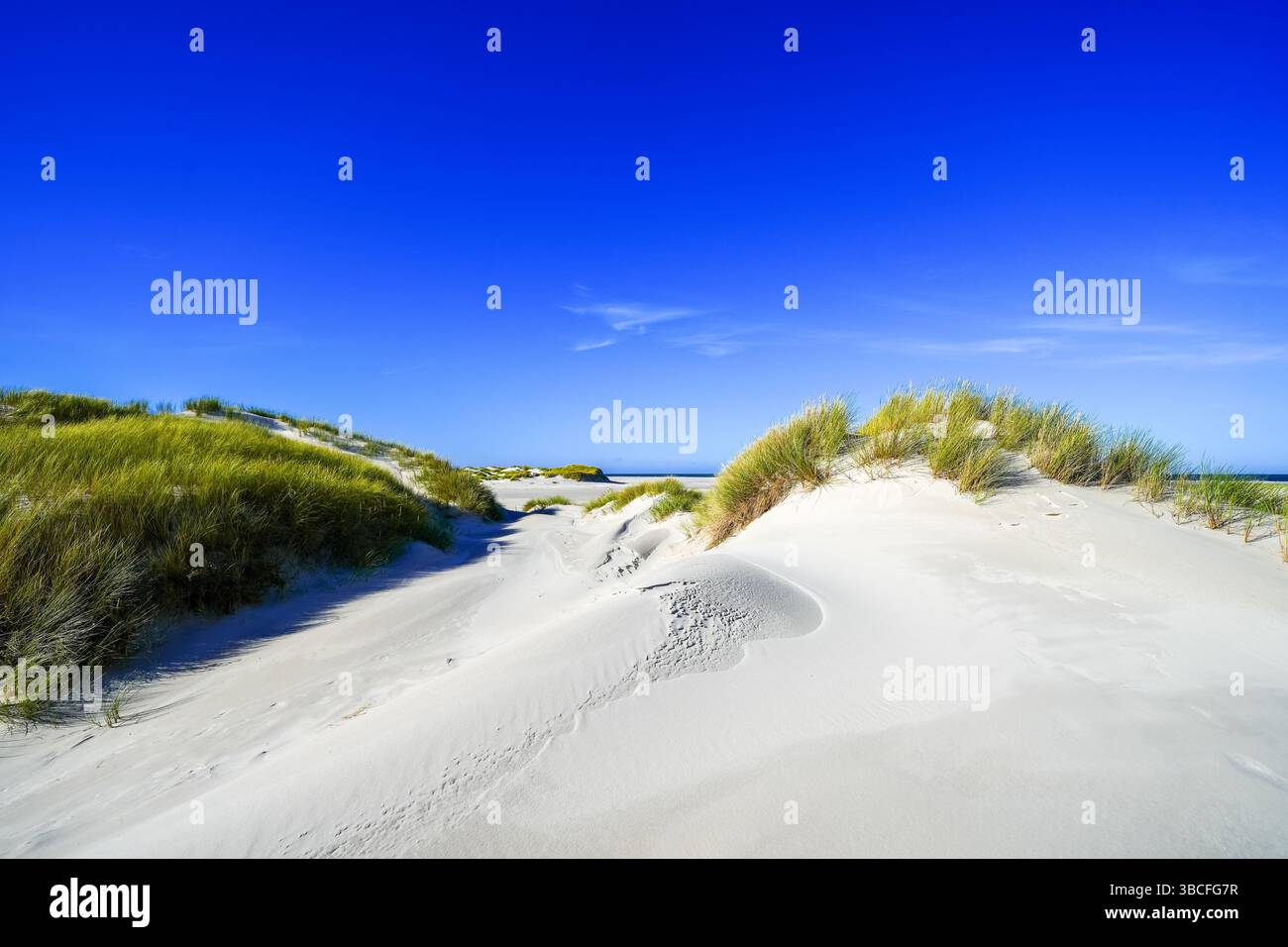 Vista delle dune sull'isola frisone settentrionale di Amrum. Paesaggio a nord. Natura sull'isola del Mare del Nord. Foto Stock