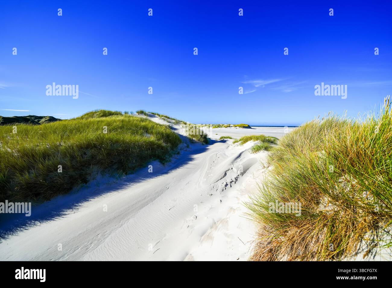 Vista delle dune sull'isola frisone settentrionale di Amrum. Paesaggio a nord. Natura sull'isola del Mare del Nord. Foto Stock