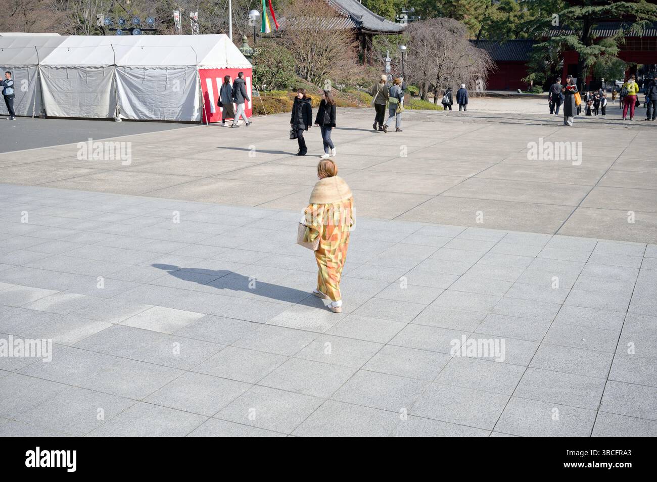 Una donna in un kimono dorato attraversa la piazza del tempio Zōjō-ji, gettando un'ombra morbida nel sole invernale Foto Stock