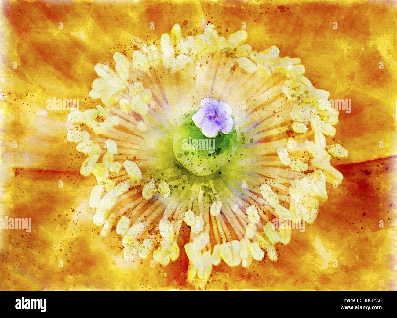 Effetto acquerello effetto splash singolo giallo brillante papavero effetto floreale astratto immagine con dettagli arancioni Foto Stock