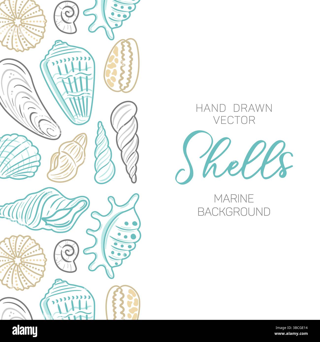 Uno sfondo incantevole con delicate conchiglie delineate, ideale per design a tema spiaggia. Questa illustrazione vettoriale cattura l'essenza della costa Illustrazione Vettoriale