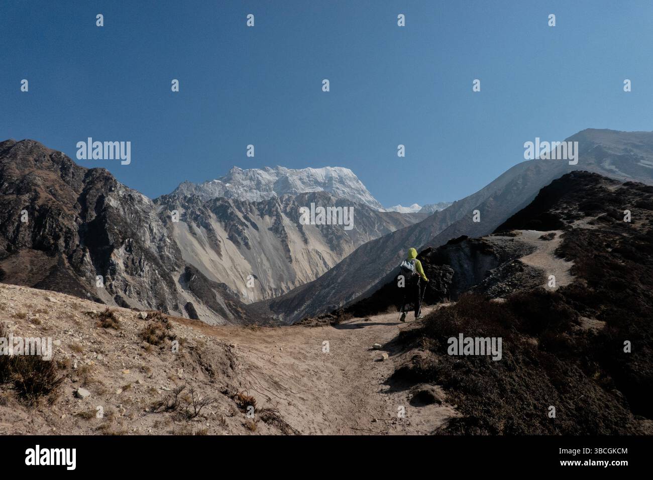 Trekking a Tsergo Ri, Langtang National Park, Kyanjin Gompa, Nepal Foto Stock