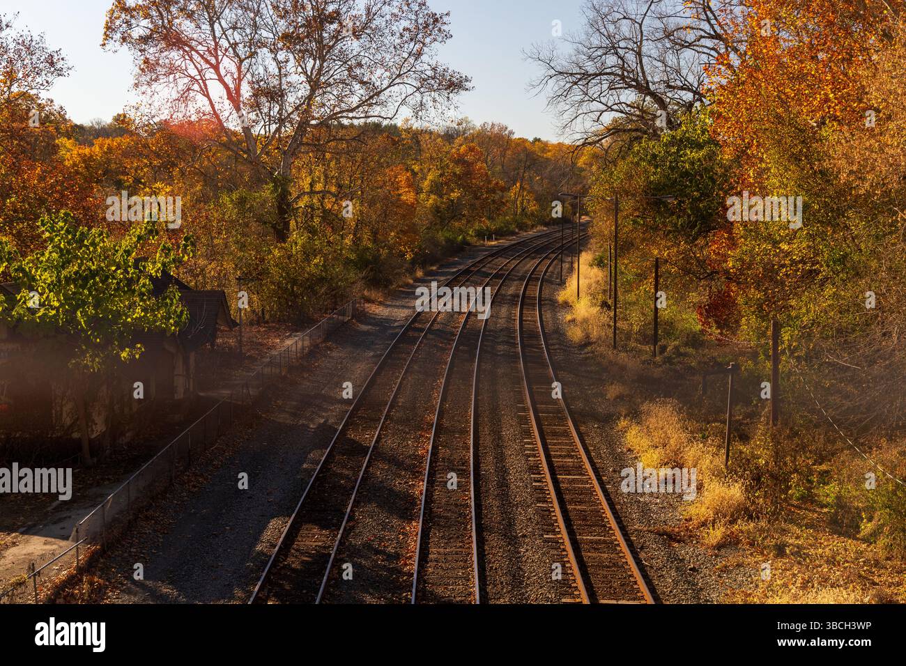 I binari sono circondati da alberi con foglie che cambiano colore. L'immagine ha un'atmosfera tranquilla e serena, come i binari del treno sembrano b Foto Stock I binari sono circondati da alberi con foglie che cambiano colore. L'immagine ha un'atmosfera tranquilla e serena, come i binari del treno sembrano b Foto Stock