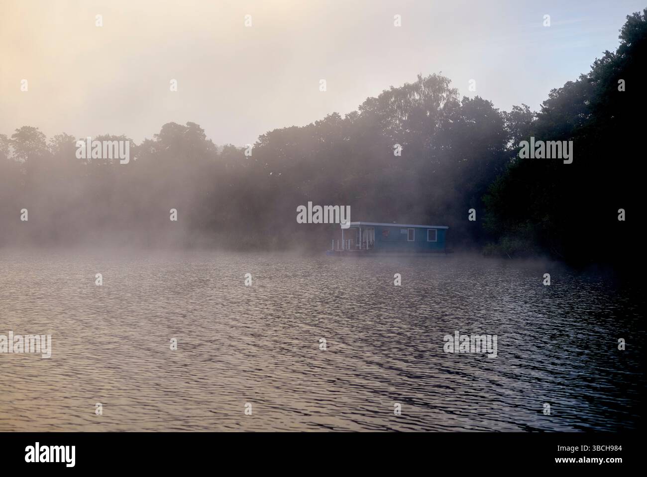 Vista sul lago nebbioso con una casa galleggiante blu e alberi fitti circostanti sotto un cielo morbido e nebuloso. Altopiano del lago di Meclemburgo, Meclemburgo-Pomerania occidentale, Germania Foto Stock