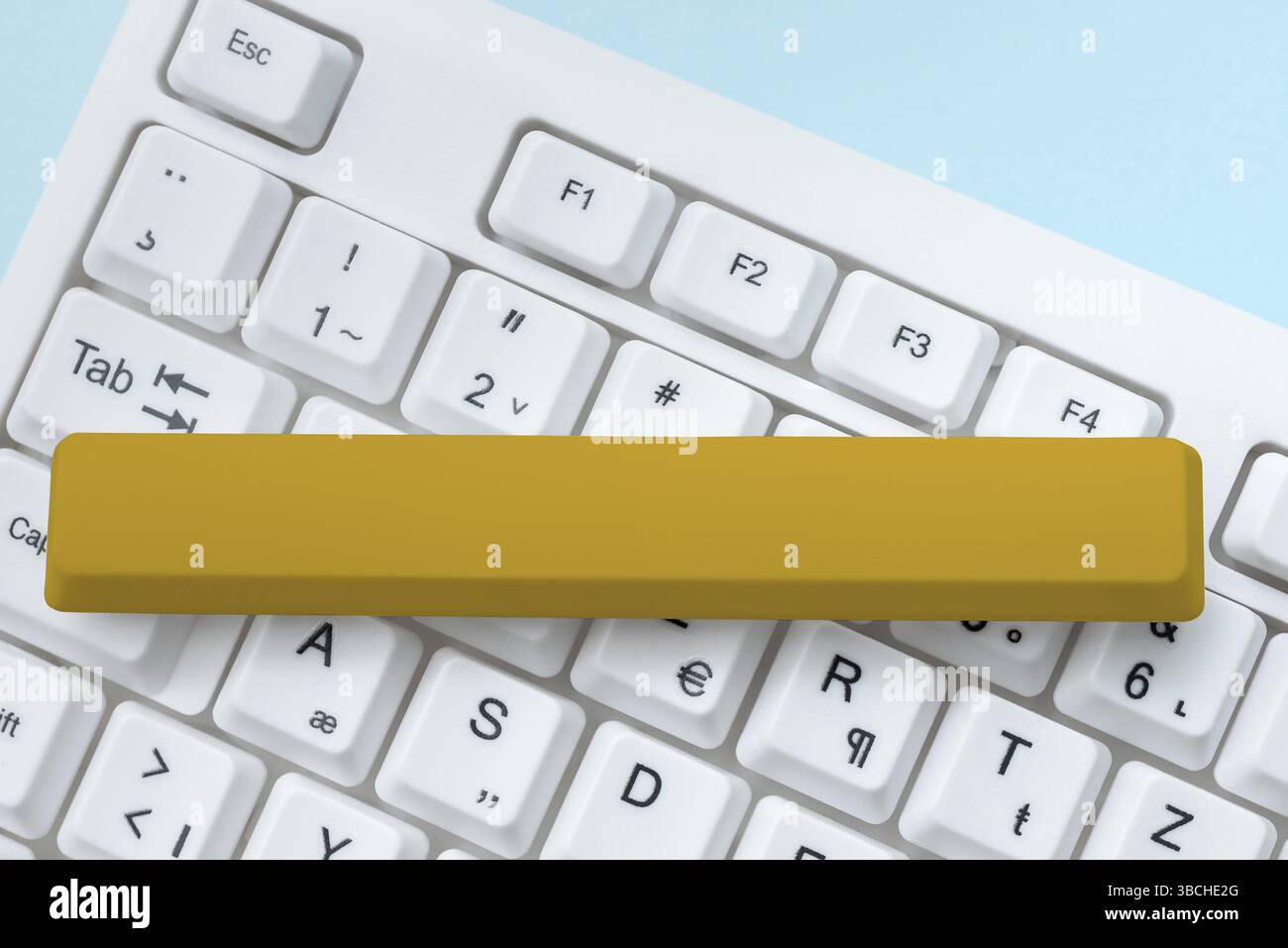 Digitazione dei record e dei referti ospedalieri, creazione di un nuovo programma di lettura eBook Foto Stock
