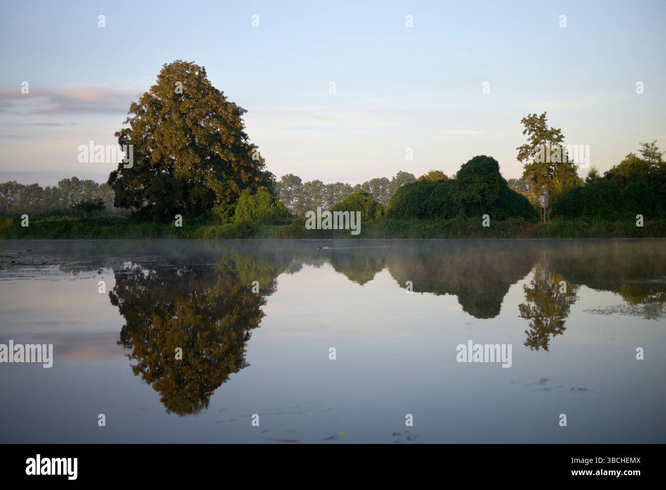 Tranquillo lago che riflette gli alberi sotto un cielo blu all'alba. Meclemburgo Lake Plateau, Germania Foto Stock
